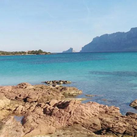 Aria Di Vacanza-s'abba Lughente Trilo